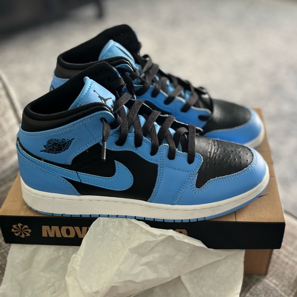 They are Jordan 1 highs, black, blue, white
